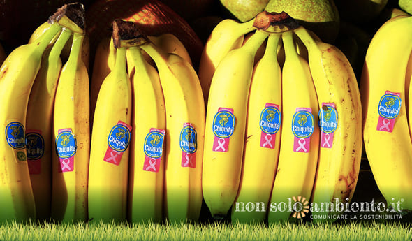 Chiquita: l’impegno dietro al bollino blu per una filiera sostenibile