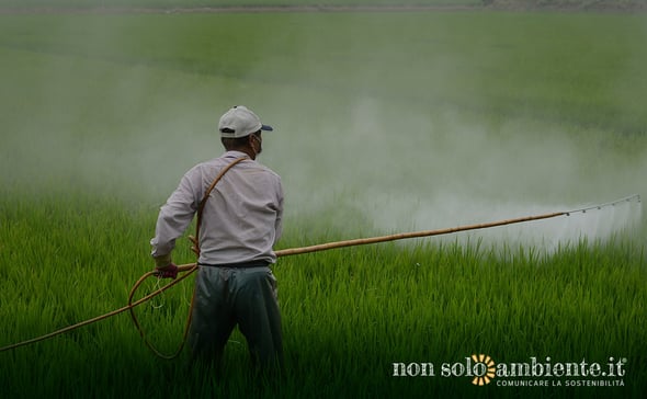 Il Brasile allenta le norme sui pesticidi