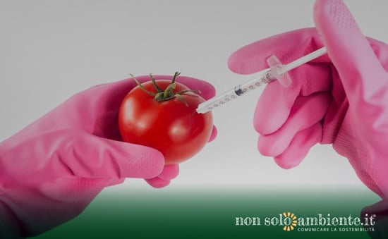Nuovi OGM: una petizione contro la deregolamentazione nell'Unione Europea