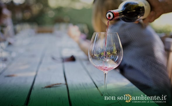 Sostenibilità e filiera vitivinicola: i chiarimenti sulla certificazione