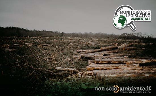 Deforestazione: in arrivo nuove norme per l’import e l’export di prodotti a rischio