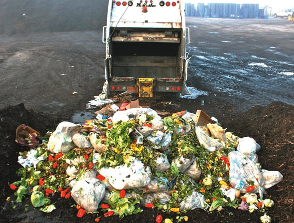 Dalla terra alla tavola, identikit in sei fasi dello spreco alimentare