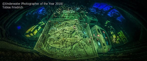Underwater Photographer of the year: i vincitori 2018