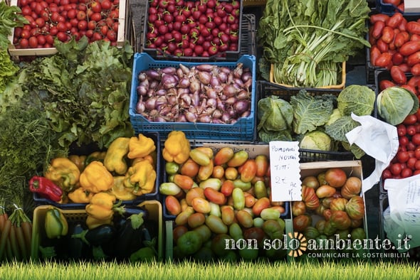Italiani in salute grazie alla biodiversità (che stiamo perdendo)
