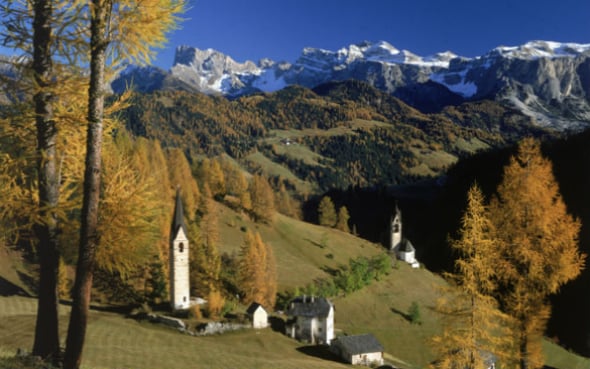 In Trentino le foreste diventano “Smart”