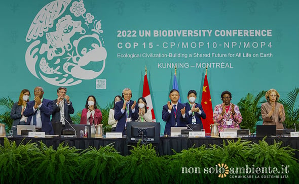 Accordo di Montreal: obiettivi e strategie globali per tutelare la biodiversità