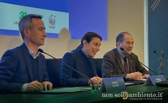 Transizione energetica: l’accordo tra Terna, Greenpeace, WWF e Legambiente