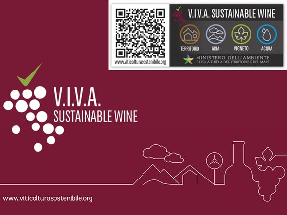Progetto VIVA Sustanaible Wine, storie di vini in etichetta