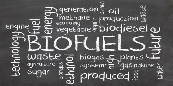 I Biocarburanti: un’opportunità da ampliare per lo sviluppo della green economy italiana