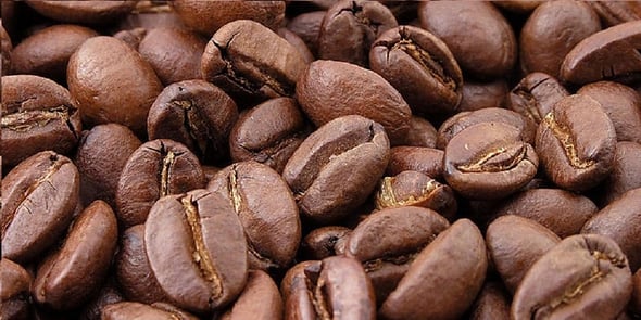 Sostenibilità in tazza: illycaffè si aggiudica il primato di caffè più sostenibile