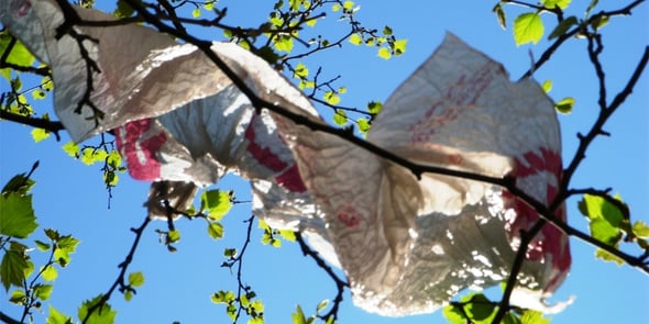 Verso l'addio ai sacchetti di plastica: raggiunto l'accordo in ambito UE