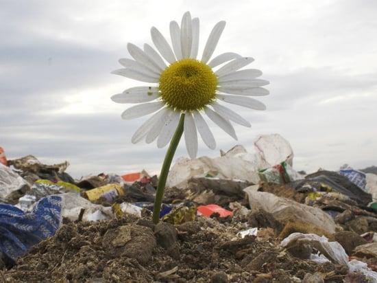 The Guardian: ecco come cambierà il nostro rapporto con i rifiuti entro il 2025