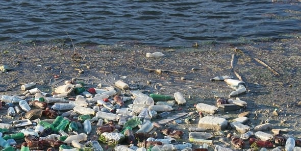Inquinamento da plastica, arrivano i batteri spazzini
