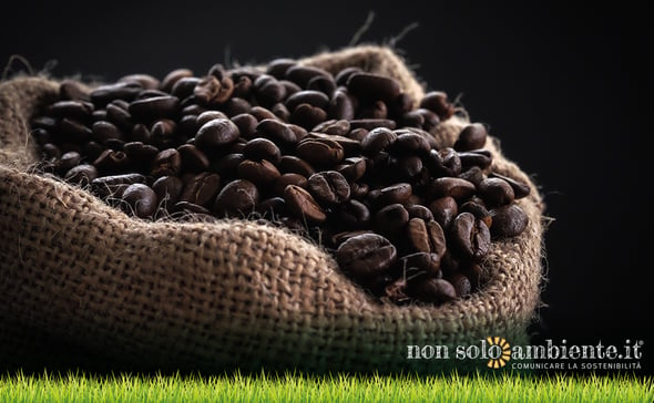 Sustainable coffee experience: Lavazza partner dell'Italia a Expo 2020 Dubai