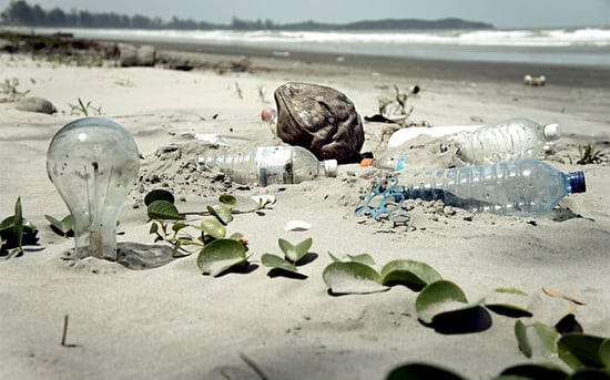 Plastiche biodegradabili: sono veramente ecosostenibili?