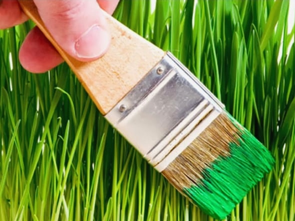 Greenwashing: sette spunti per evitarlo