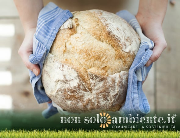 Nuovo regolamento per il pane: arriva l’etichetta per distinguere quello fresco
